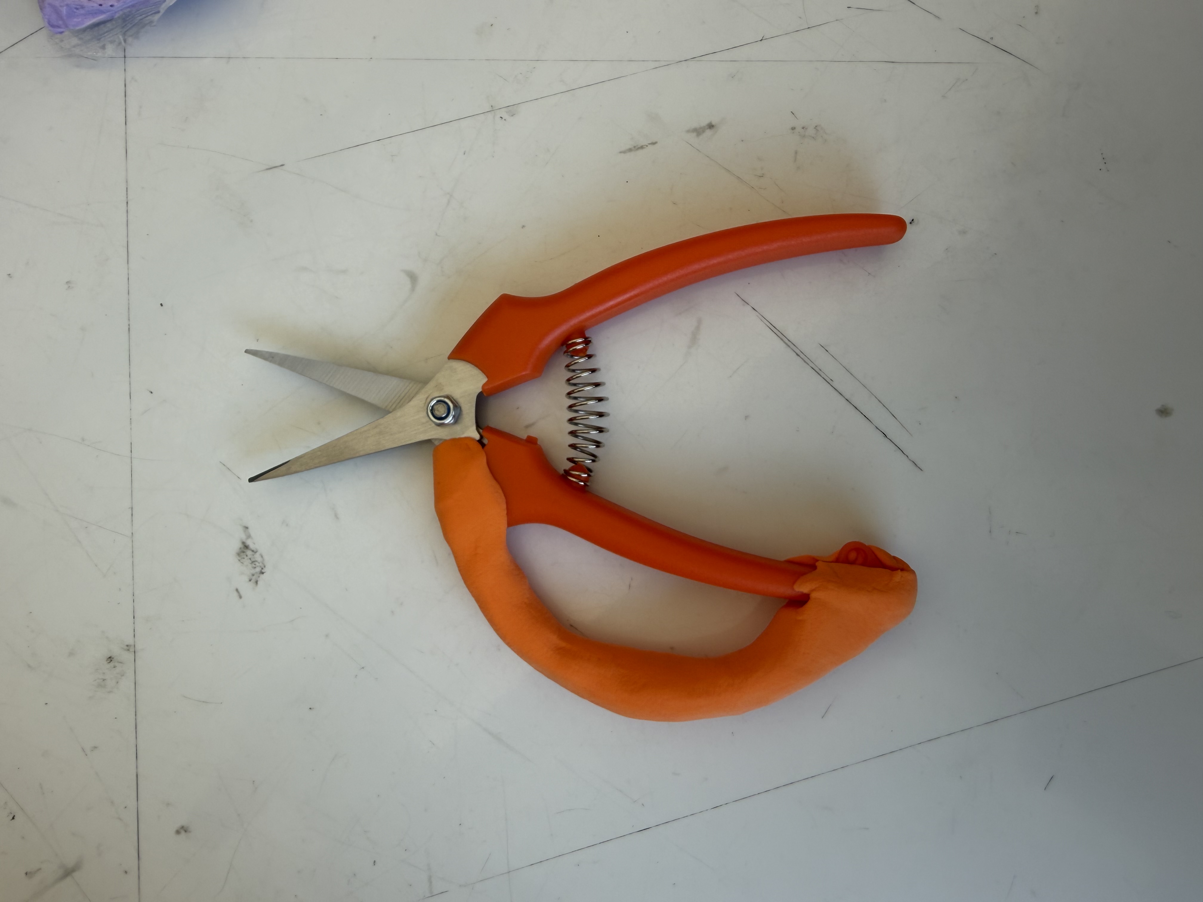 Early physical form model for the accessible pruning tool