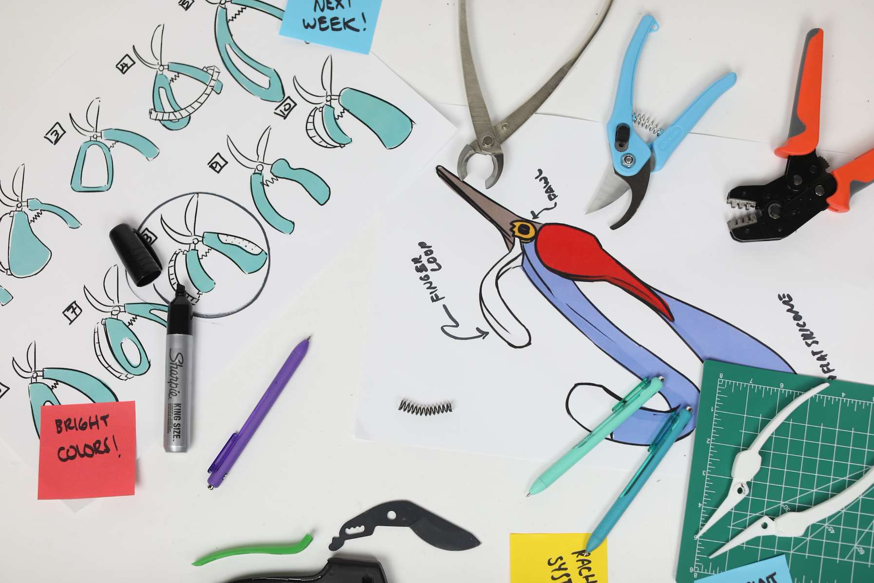 Sketch development for the accessible pruning tool